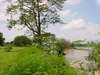 The Legend Chiang Rai River Resort & Spa 